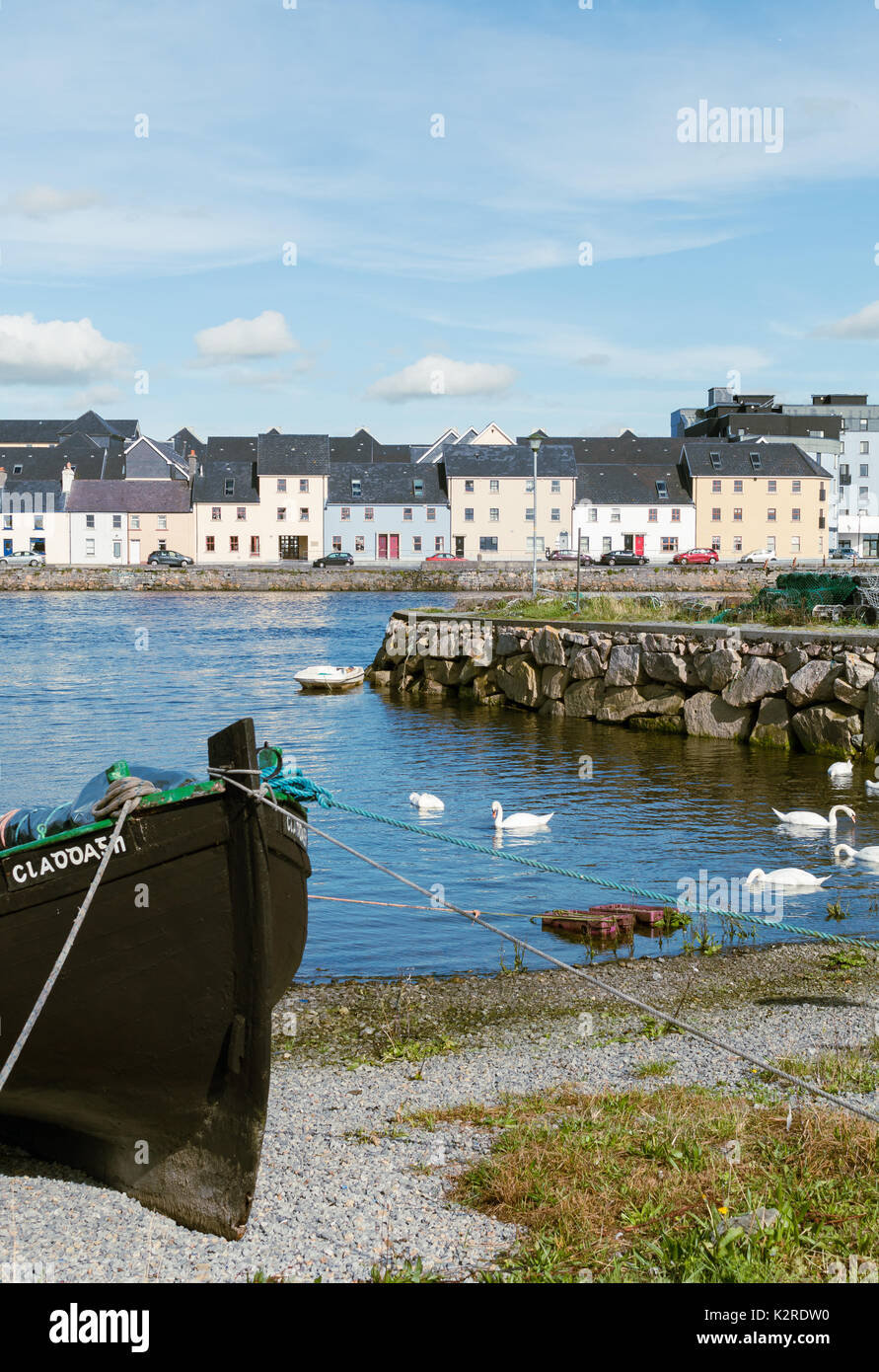 Galway hooker and swans near the Claddagh in Galway Bay, Ireland Stock Photo