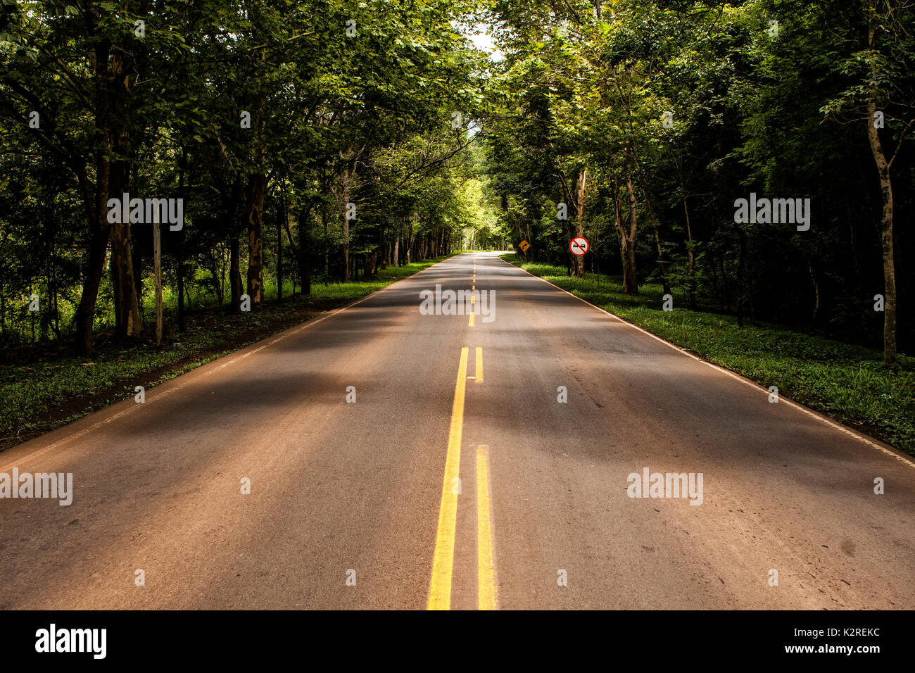 Modelo Santa Catarina fonte: c8.alamy.com