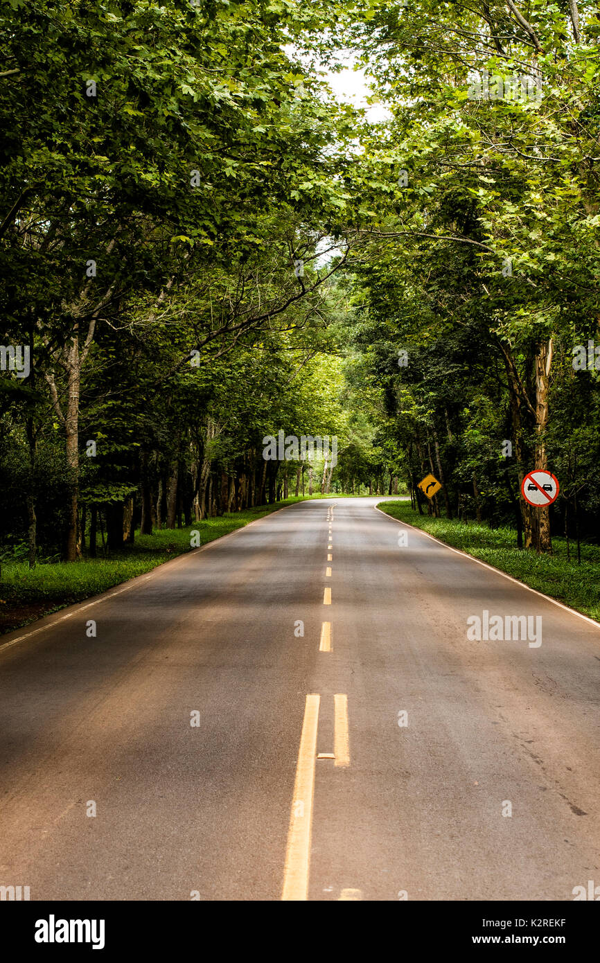 Modelo Santa Catarina fonte: c8.alamy.com