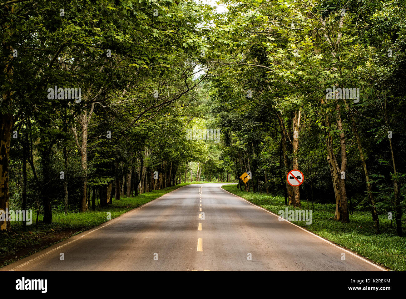 Modelo Santa Catarina fonte: c8.alamy.com