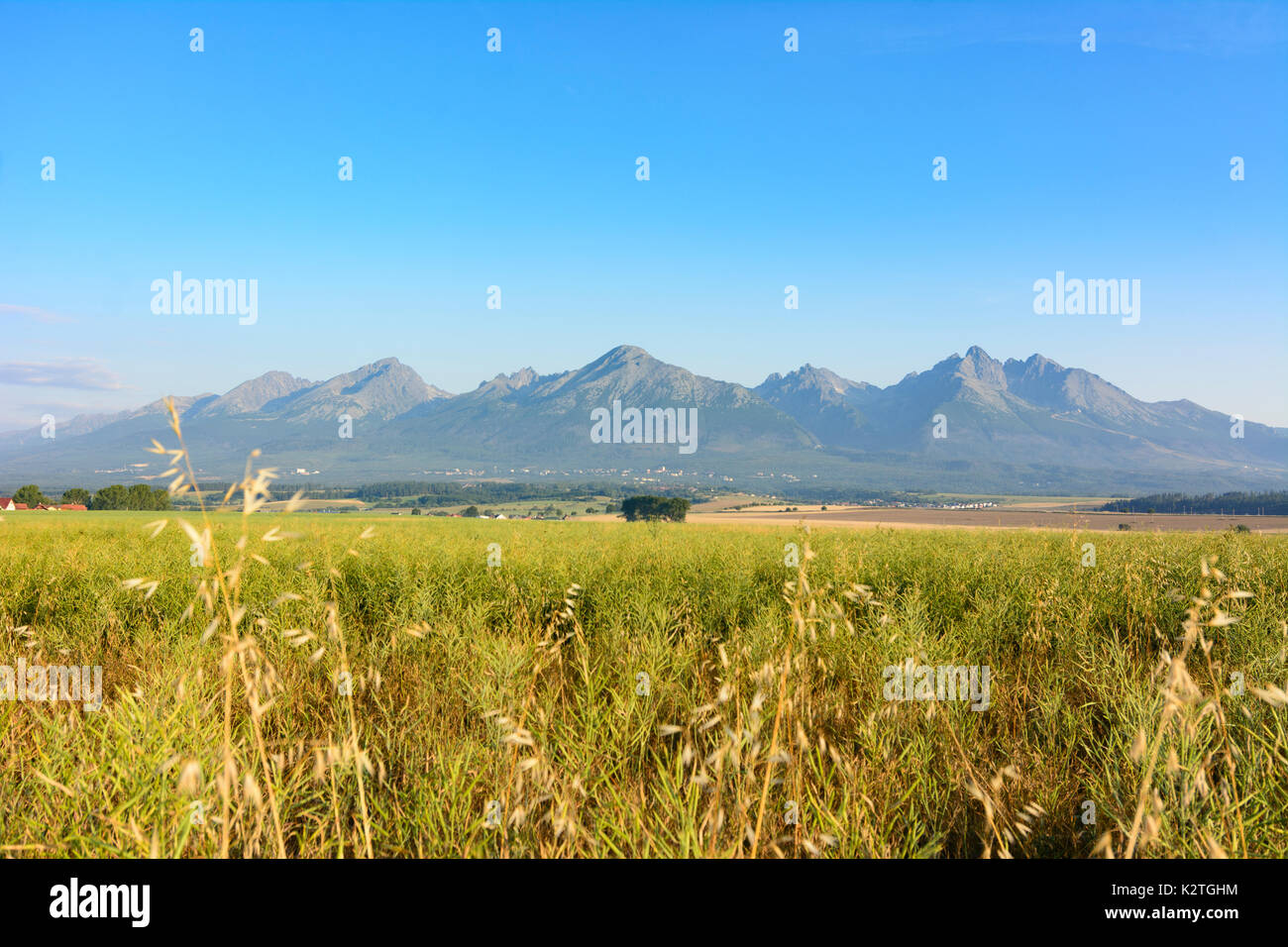 High Tatra from South-East, in front Lomnicky stit (Lomnica Peak, Lomnitzer Spitze), Vysoke Tatry (High Tatra, Hohe Tatra), Slovakia Stock Photo