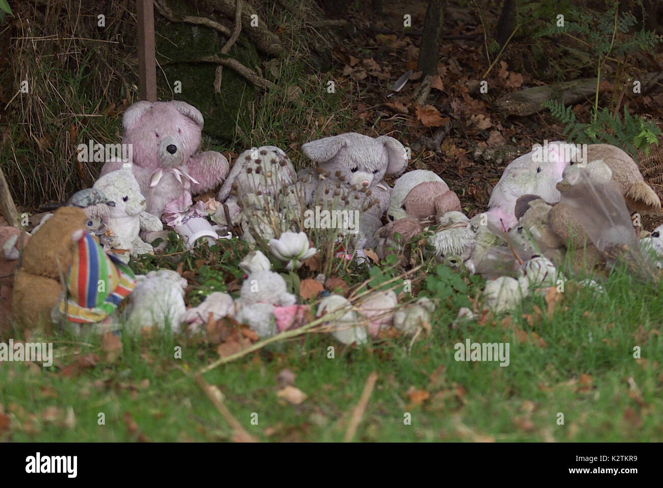 Sarah Payne Murder Trial Background The Shrine Of Teddy Bears Still At The Scene Where Sarahs Body Was Found Sarah Evelyn Isobel Payne 13 October 1991 1 July 2000 The 8 Year Old