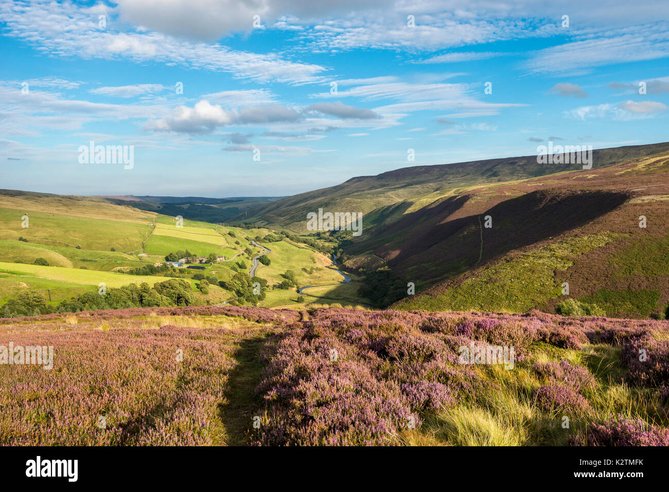 Colourful view of landscape beside Snake Pass at Fairbrook in the Peak District in summer, Derbyshire, England. Stock Photo