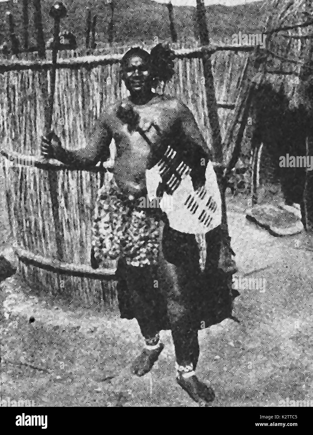 A 1940's  magazine photograph showing a native Zulu warrior dressed in a woven skirt and holding a hide covered shield and knob-kerri (club). He is standing outside of his corral containing his beehive hut dwelling. Stock Photo