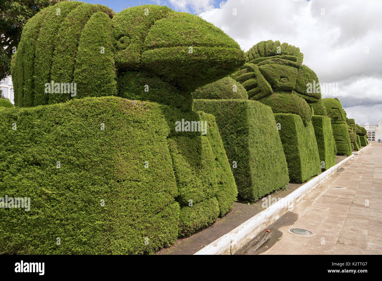 evergreen cypress topiary in the Tulcan Ecuador cemetery a popular tourist destination Stock Photo
