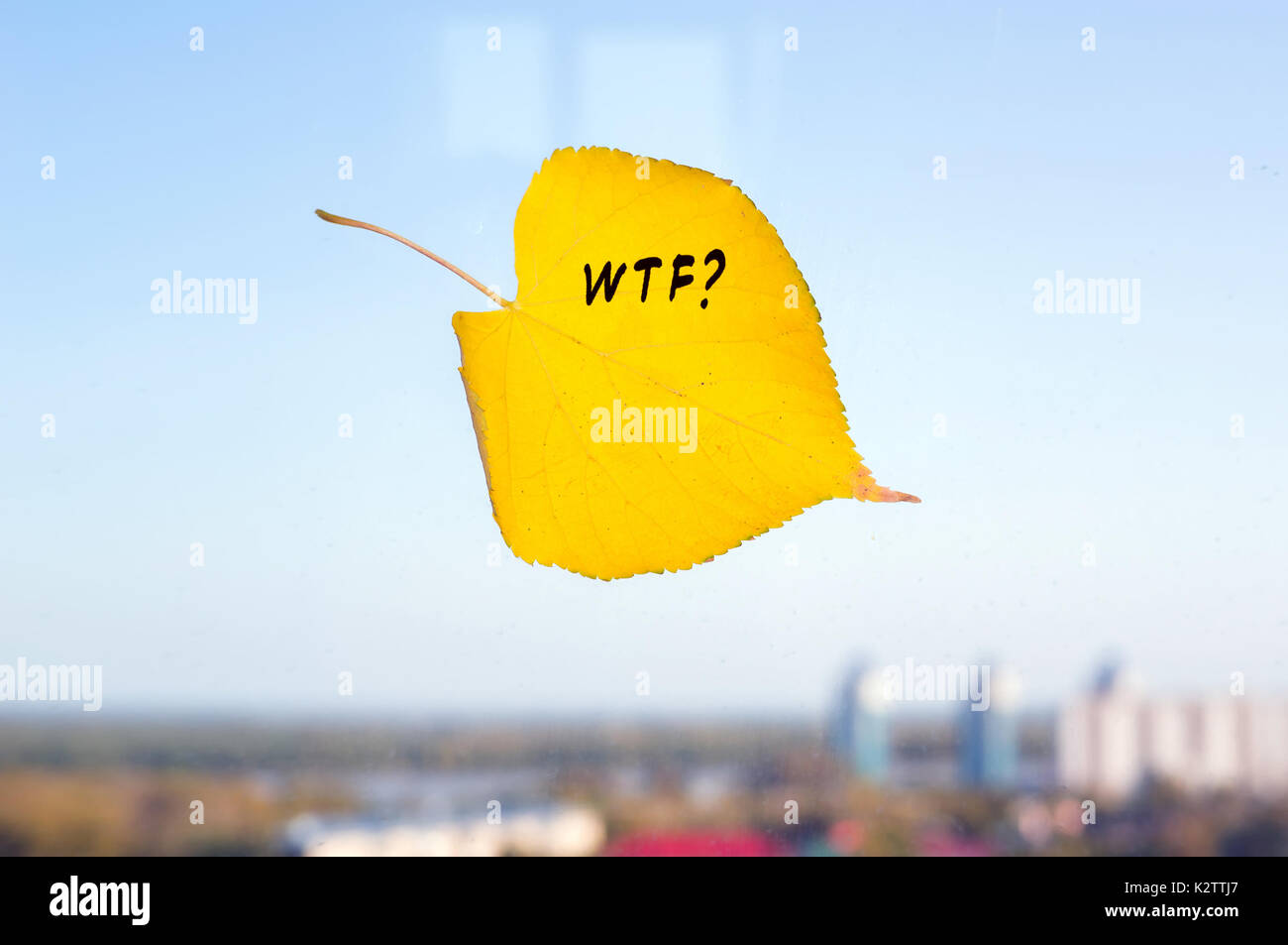 Autumn yellow fallen leaf leaf on the window on the background of the city. The inscription on the sheet WTF Stock Photo