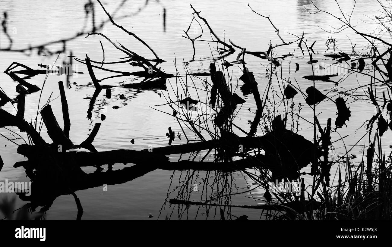 Lake is mirror Black and White Stock Photos & Images - Alamy