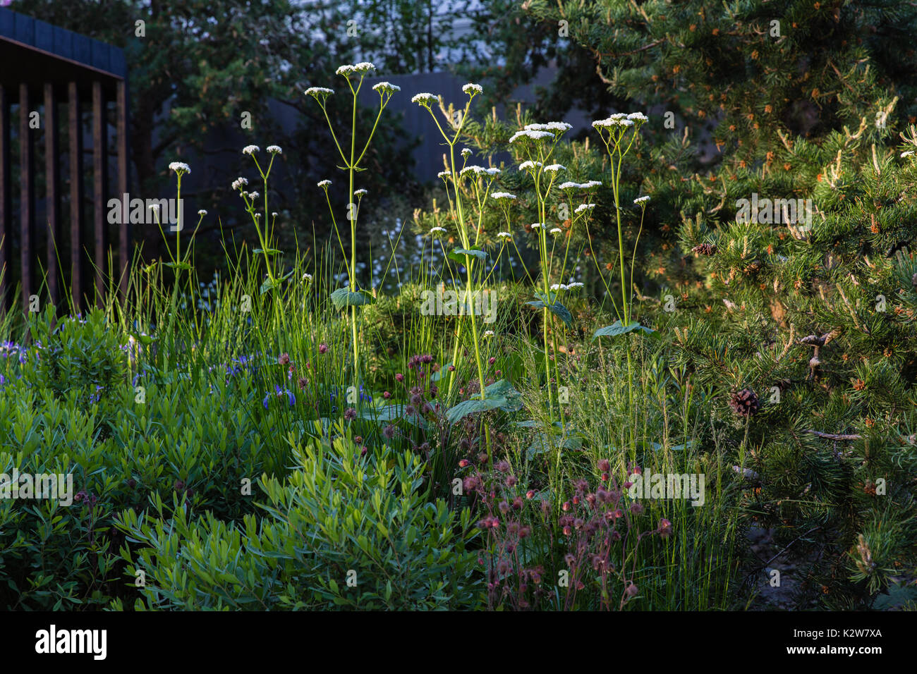 Charlotte Harris High Resolution Stock Photography And Images Alamy