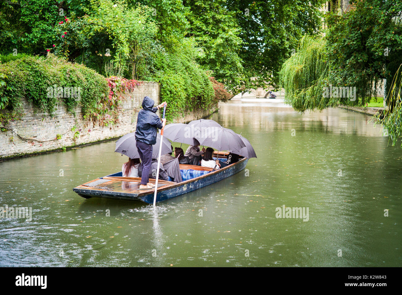 Punting in the Rain. Wet Weather Punting, Tourists take guided punts on the River Cam in rain, in Cambridge UK Stock Photo