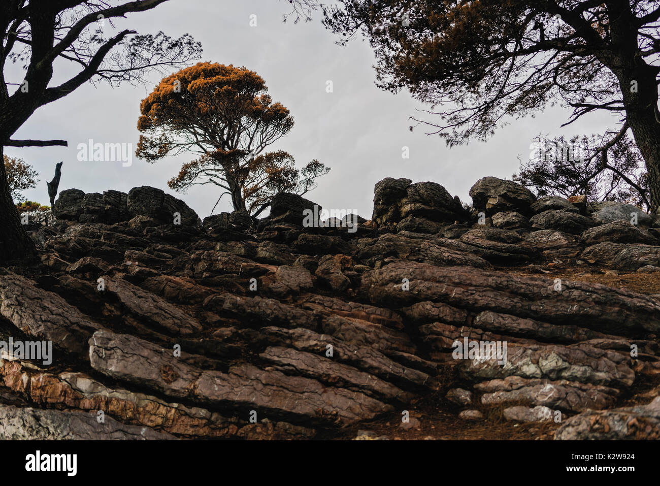 Dramatic image after a vegetation fire in Montenegro Stock Photo