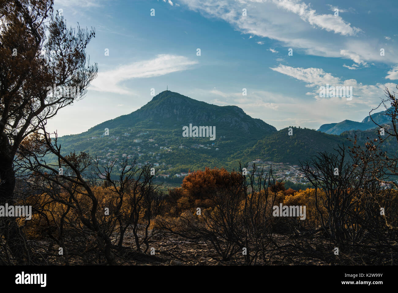 Dramatic image after a vegetation fire in Montenegro Stock Photo