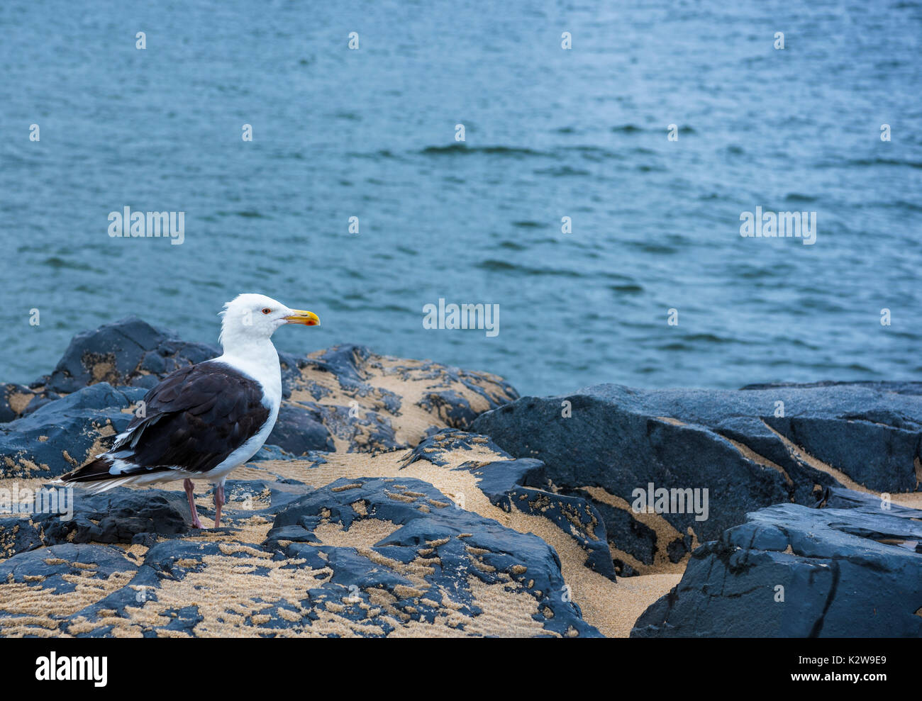 Beautiful sunrise on the beach. Peaceful morning at the Manasquan beach located in New Jersey. Stock Photo