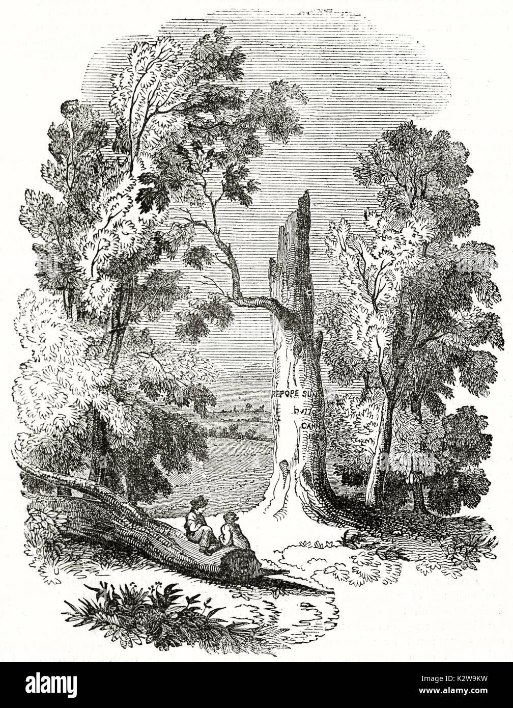 Old illustration of Pope's tree in Binfield Berks, United Kingdom. By unidentified author