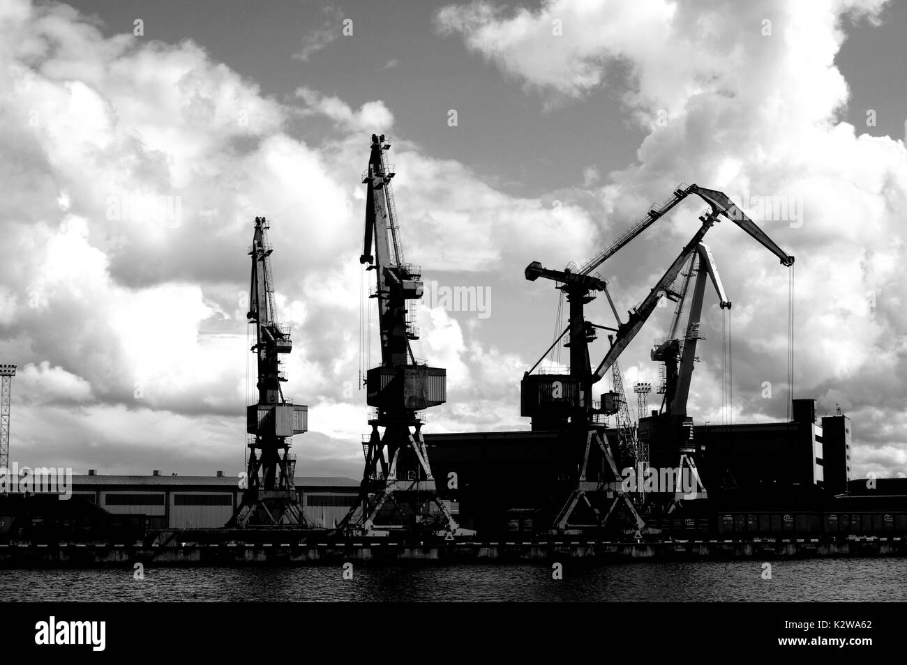 Silhouettes cranes Black and White Stock Photos & Images - Alamy