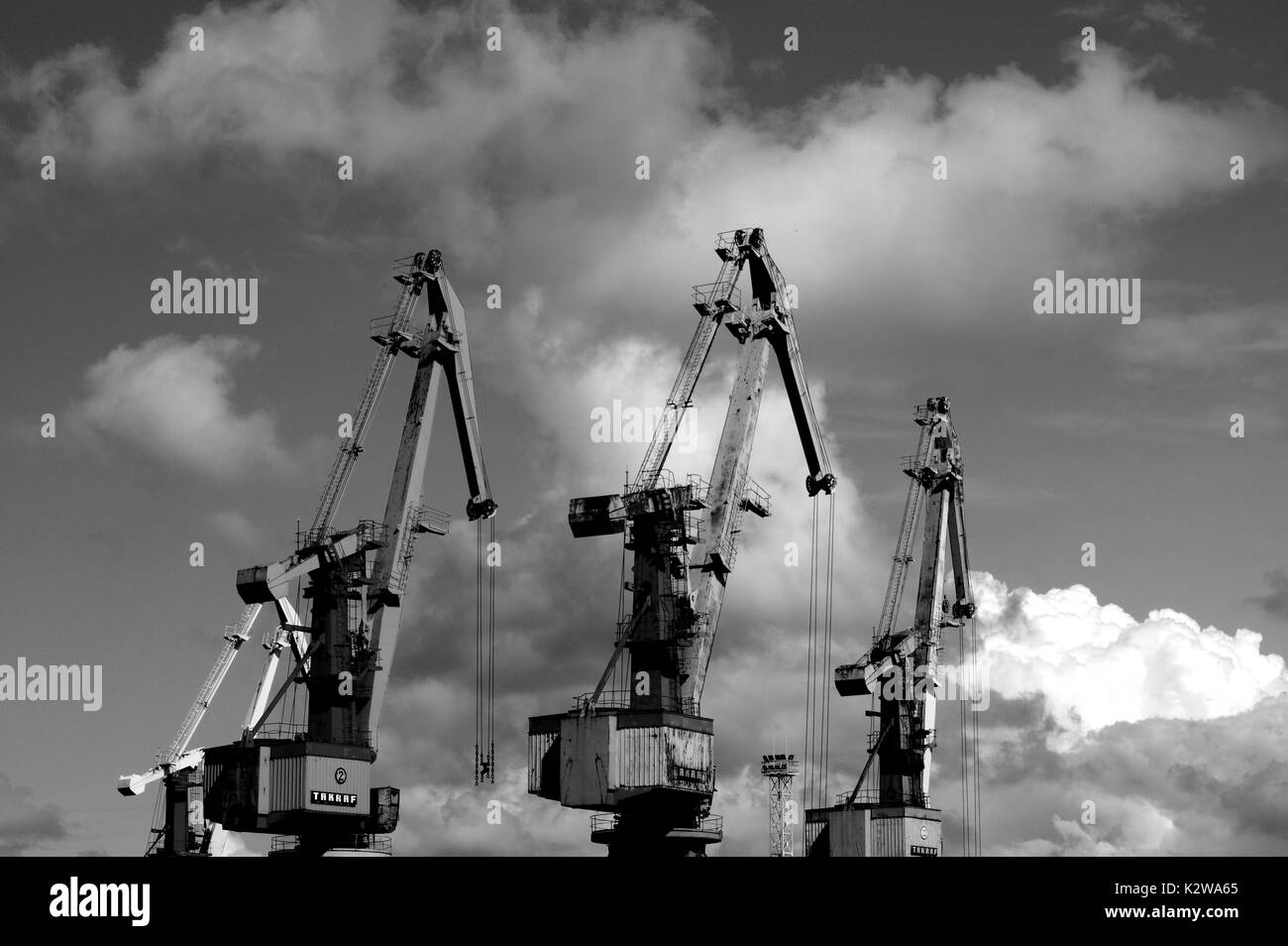 Silhouettes cranes Black and White Stock Photos & Images - Alamy