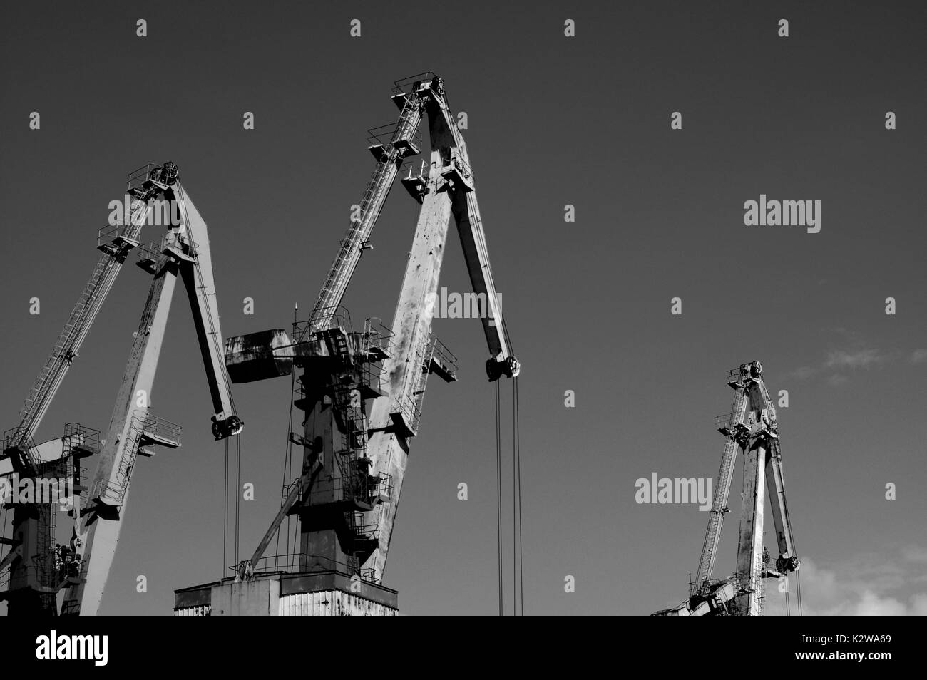 Black white silhouettes cranes hi-res stock photography and images - Alamy