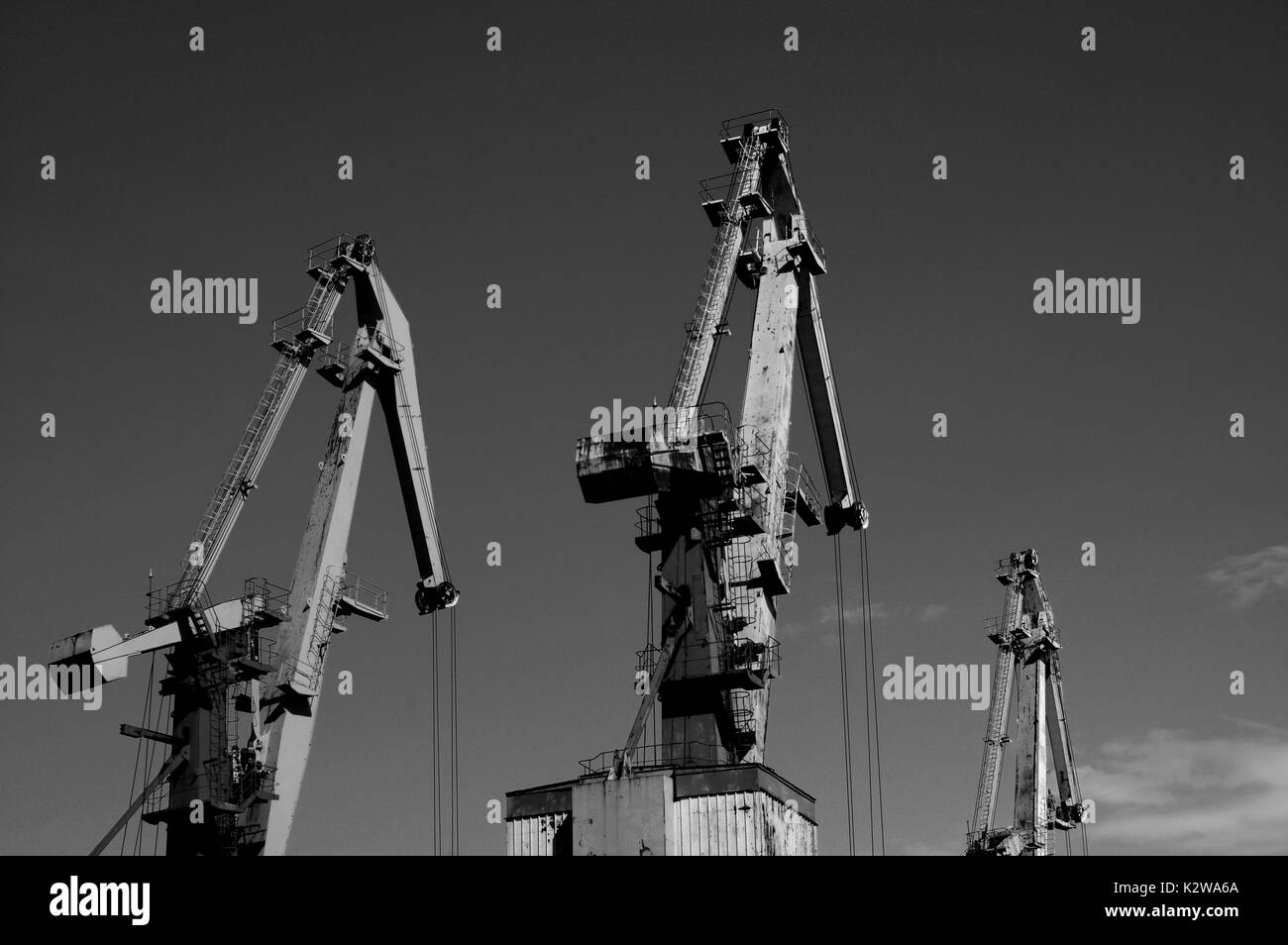 Silhouettes cranes Black and White Stock Photos & Images - Alamy