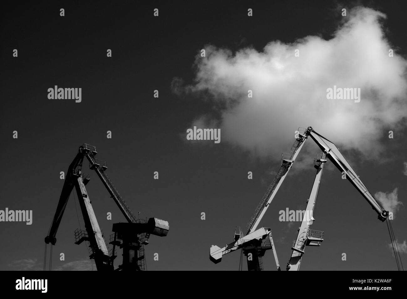 Silhouettes cranes Black and White Stock Photos & Images - Alamy