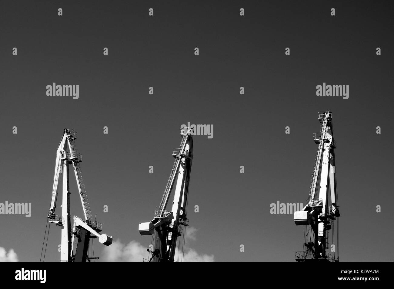 Silhouettes cranes Black and White Stock Photos & Images - Alamy
