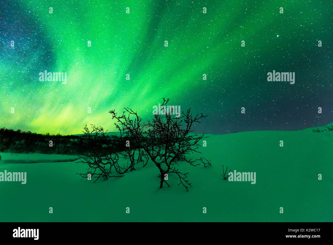 Northern lights Aurora Borealis in the night. A arctic, snowy winter ...