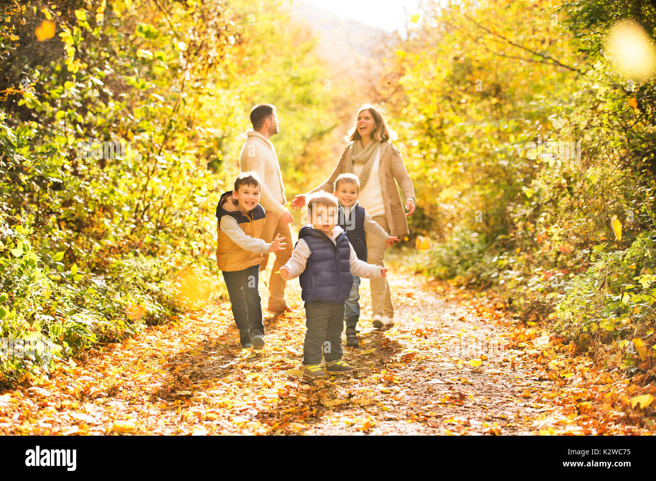 Beautiful young family on a walk in autumn forest Stock Photo - Alamy