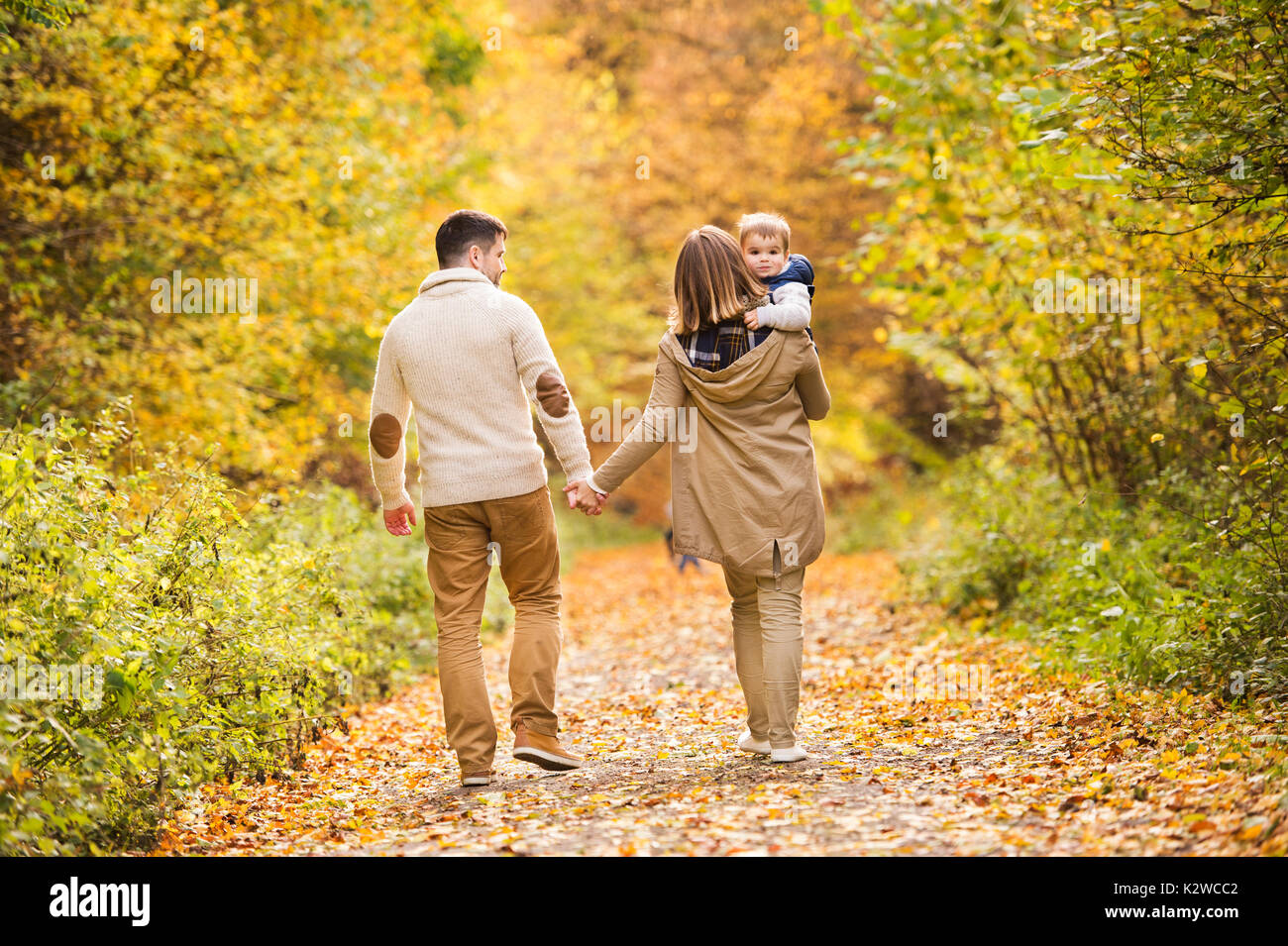 Beautiful young family on a walk in autumn forest Stock Photo - Alamy