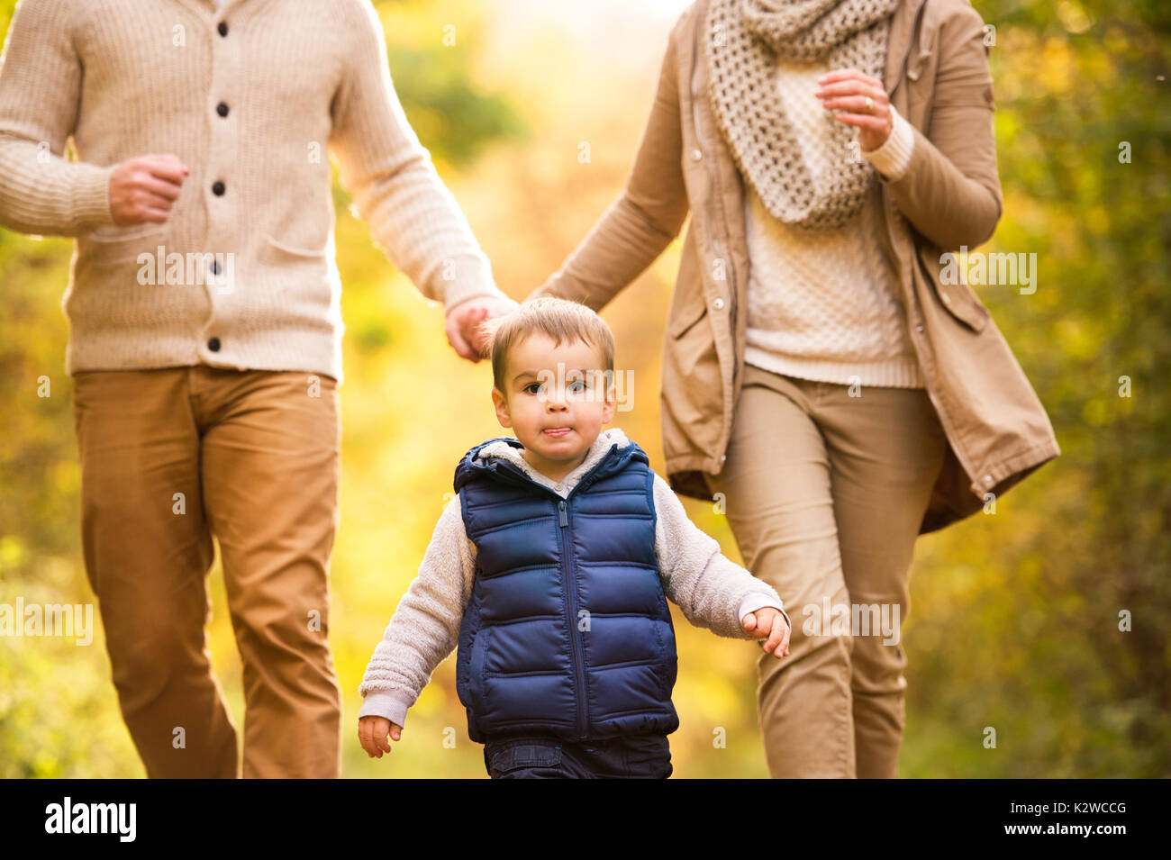 Beautiful young family on a walk in autumn forest Stock Photo - Alamy