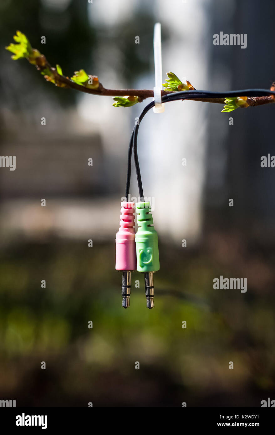 Computer details in the garden in spring. Symbolic arrival of the new life. Stock Photo