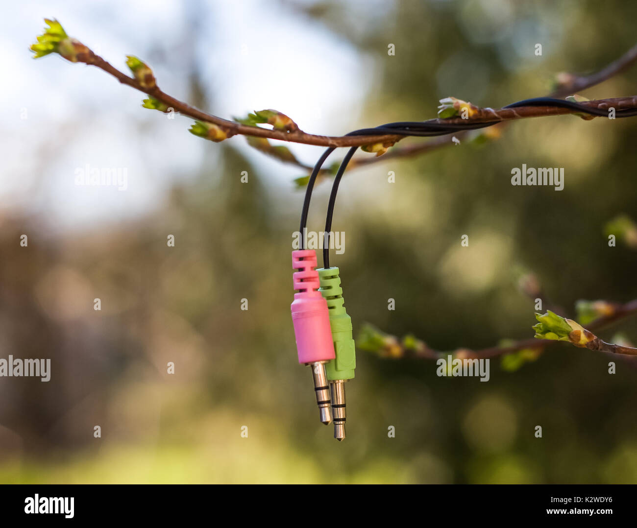 Computer details in the garden in spring. Symbolic arrival of the new life. Stock Photo