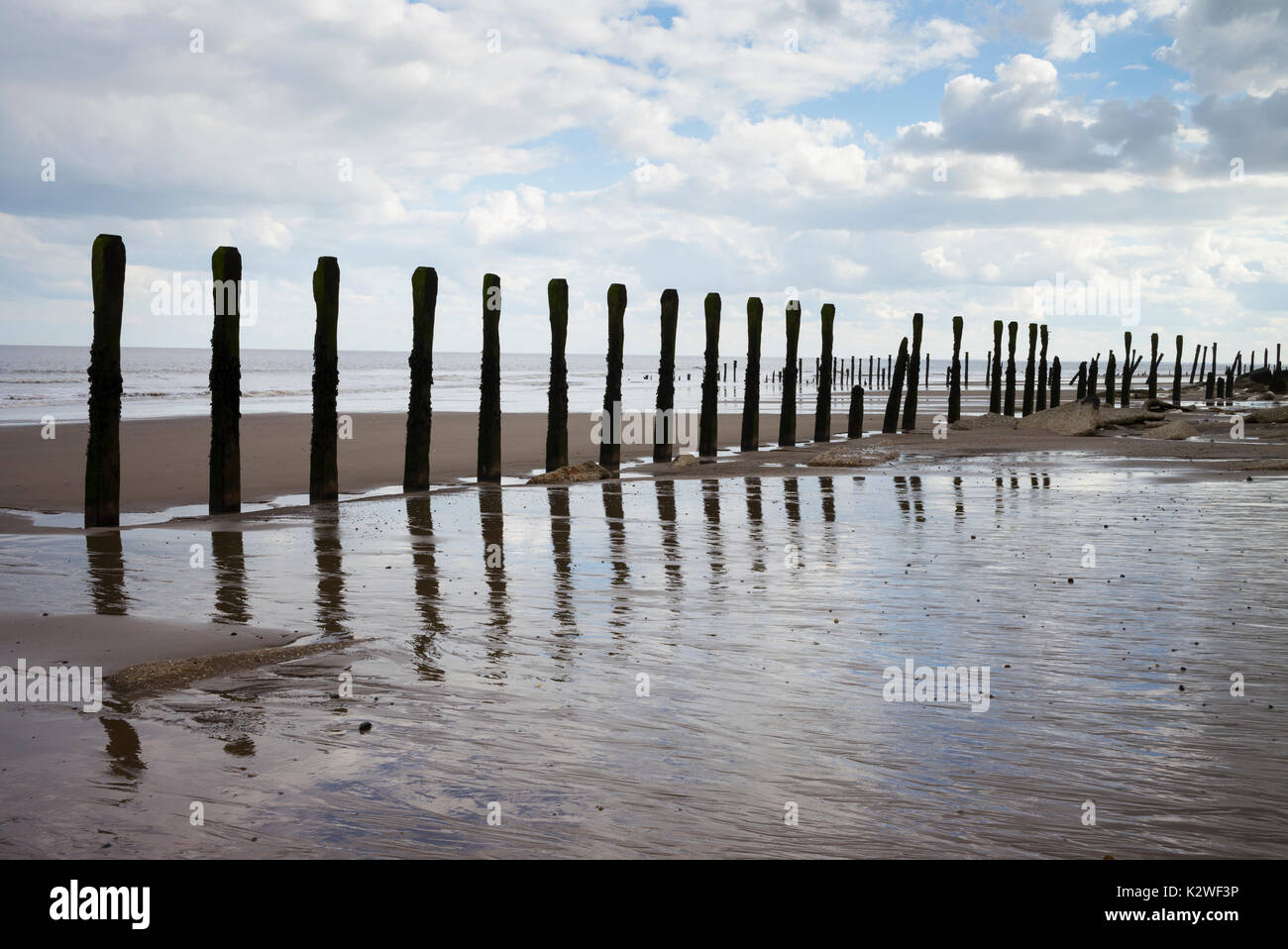 The remains of wooden sea defences on the beach at Spurn Point in Yorkshire. Stock Photo