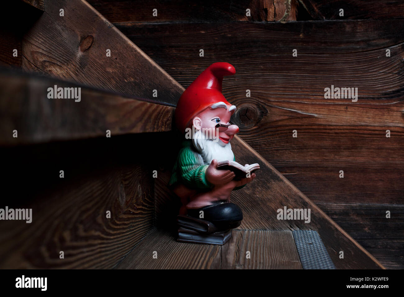 Reading gnome, Switzerland. Stock Photo