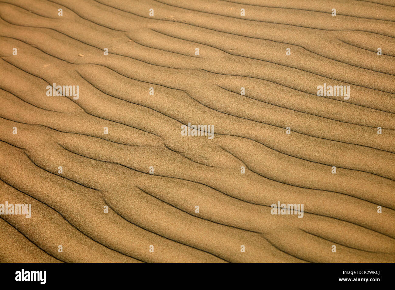 Ripples on sand dunes in desert near Huacachina Oasis, Ica, Peru, South America Stock Photo