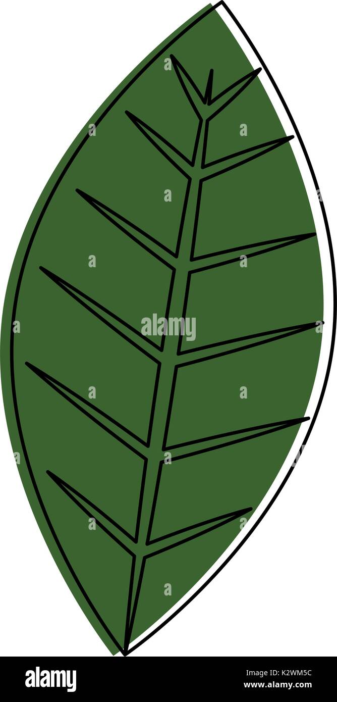 leaf plant isolated icon Stock Vector Image & Art - Alamy