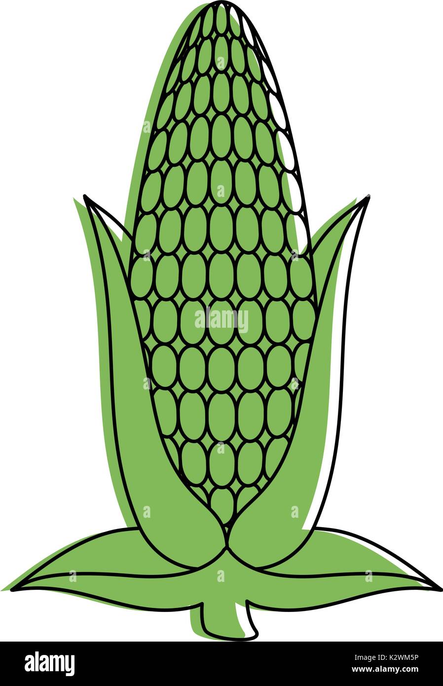 fresh corn cob icon Stock Vector Image & Art - Alamy