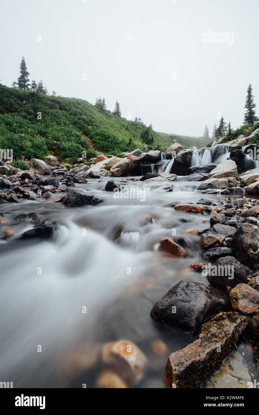 This is the picture of Myrtle Falls Creeks at Mount Rainier National Park when it's foggy. Stock Photo