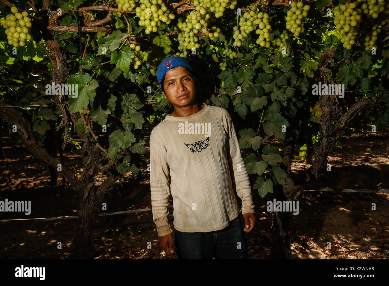 Every year between March to May hundreds of day laborers from various