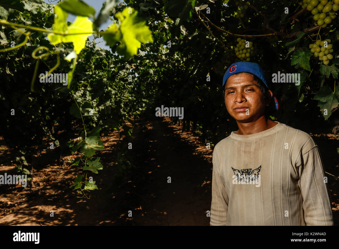 Every year between March to May hundreds of day laborers from various