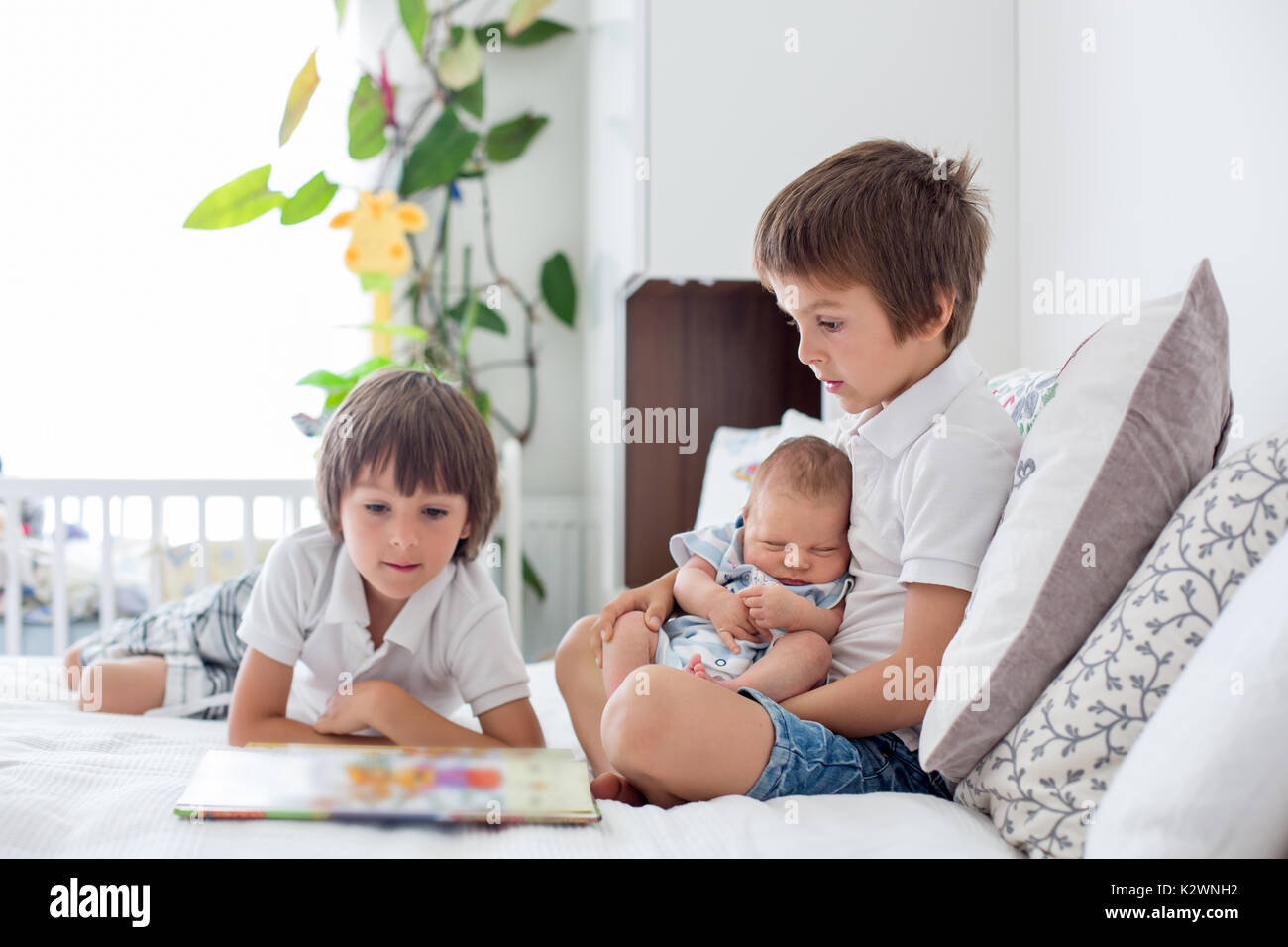 Sweet preschool boy, reading a book to his newborn brother, sitting on