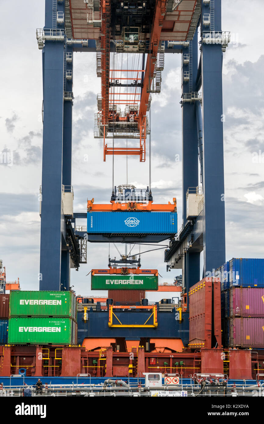 ROTTERDAM - AUG 23, 2017: Container ship being loaded with a sea container by gantry at the Euromax container terminal in the Port of Rotterdam. Stock Photo