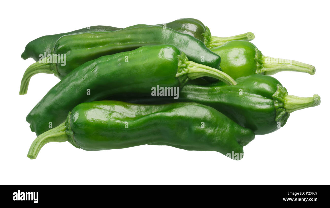 Pile of Shishito chiles, a Japanese pickle peppers, whole fresh pods