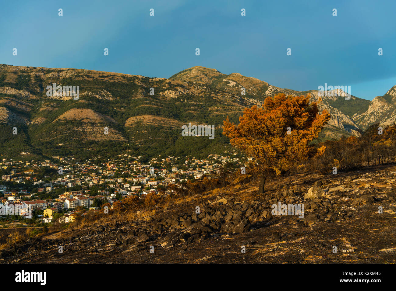 Dramatic image after a vegetation fire in Montenegro Stock Photo