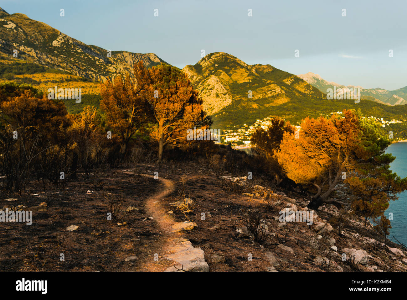 Dramatic image after a vegetation fire in Montenegro Stock Photo