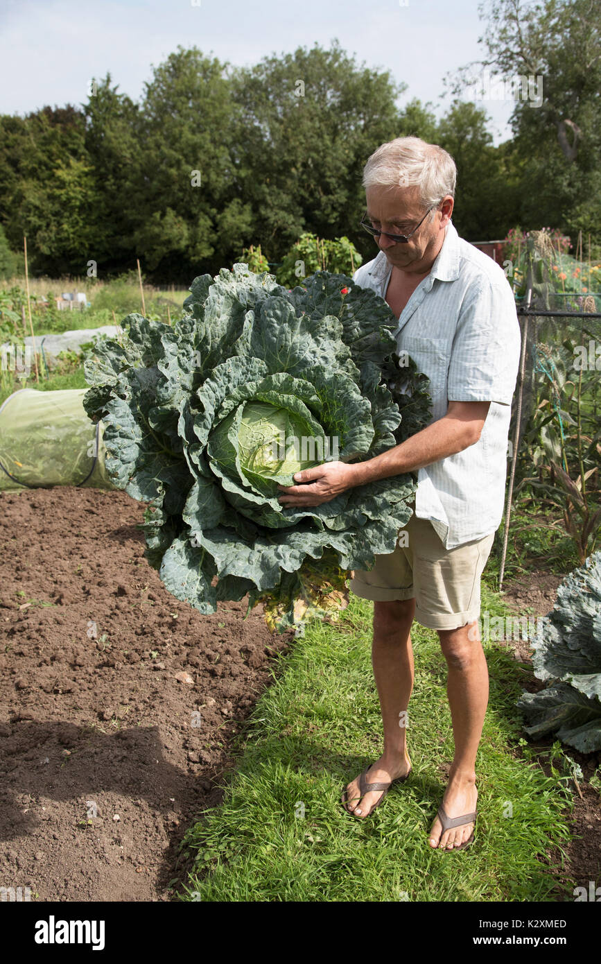 Man holding cabbage hires stock photography and images Alamy