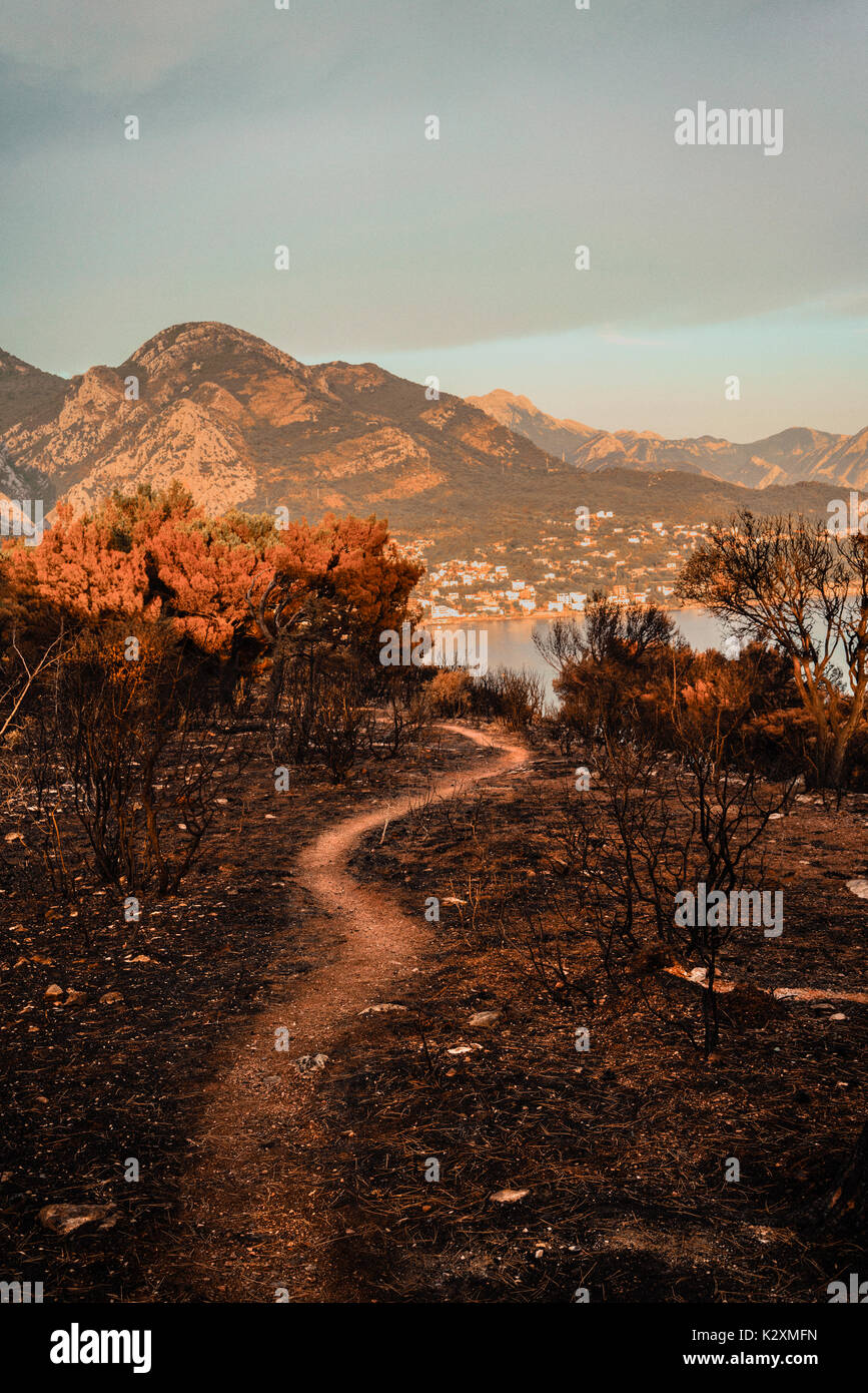 Dramatic image after a vegetation fire in Montenegro Stock Photo