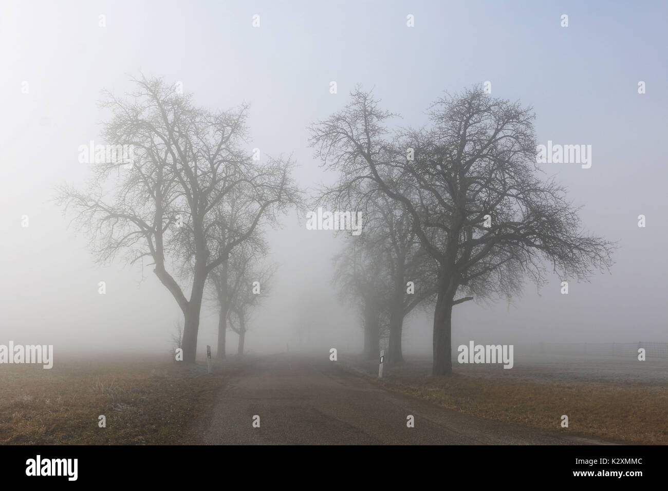 Morgen, Nebel, Straße, Winter, Gefahr, Sicht, Sichtbehinderung, Unfallgefahr, Ostalb, Wuerttemberg Stock Photo