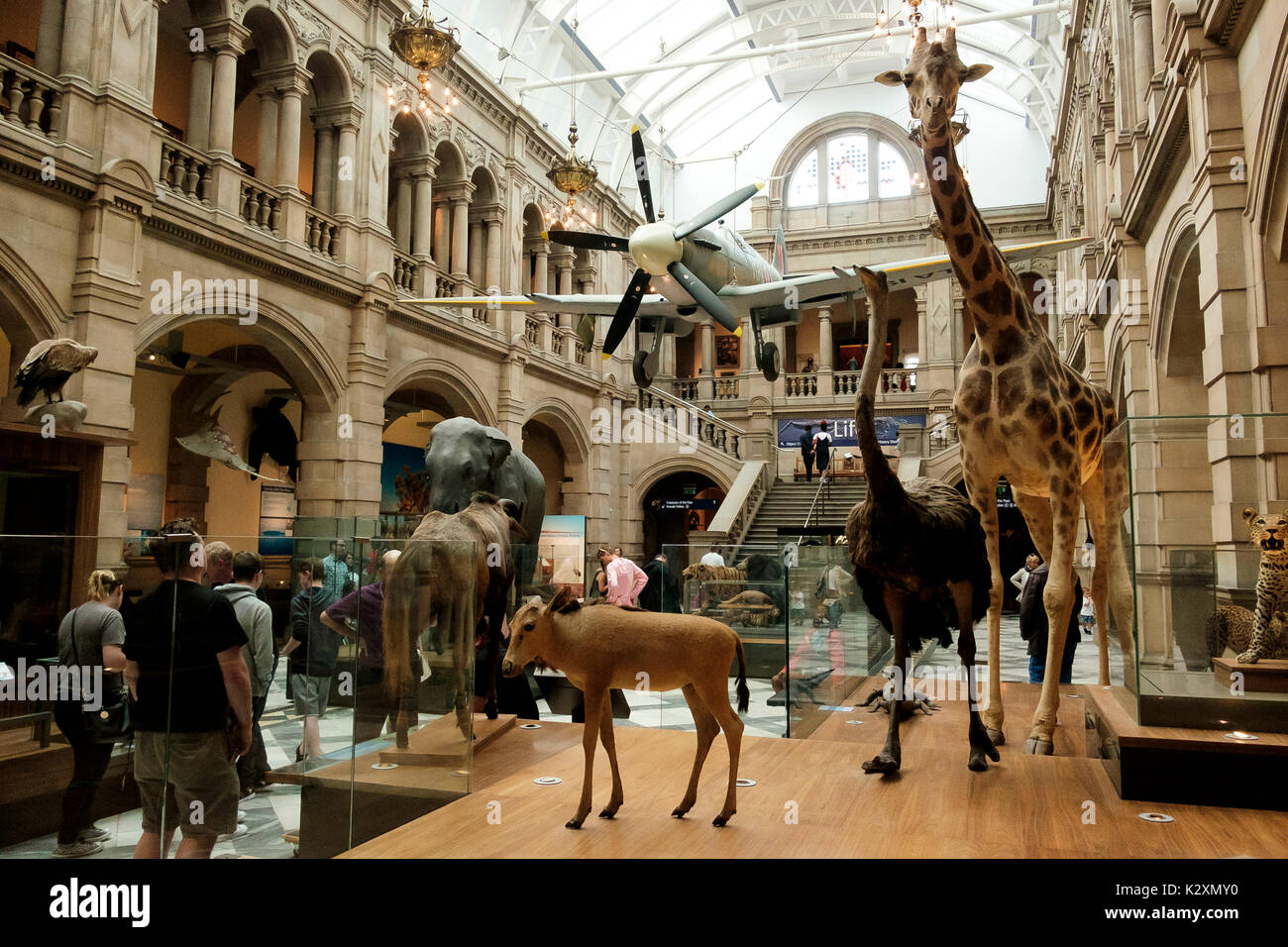 Diverse exhibits at Kelvingrove Art Gallery and Museum, Glasgow Stock Photo