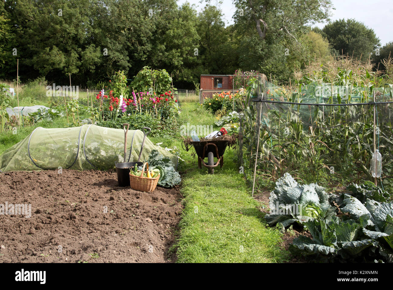 Landscape view of an allotment with flowers and vegetables growing. England UK Stock Photo