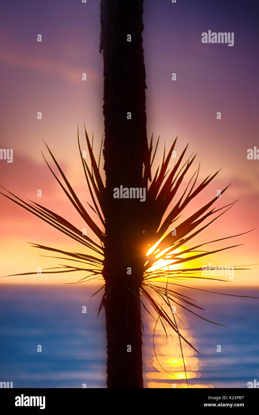 What makes our holidays happy? Idyllic beach holidays in hot countries ...
