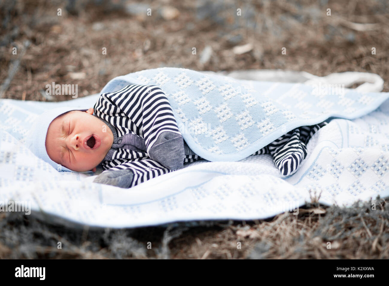 Yawning newborn baby lies on blue coverlet in grass. Stock Photo