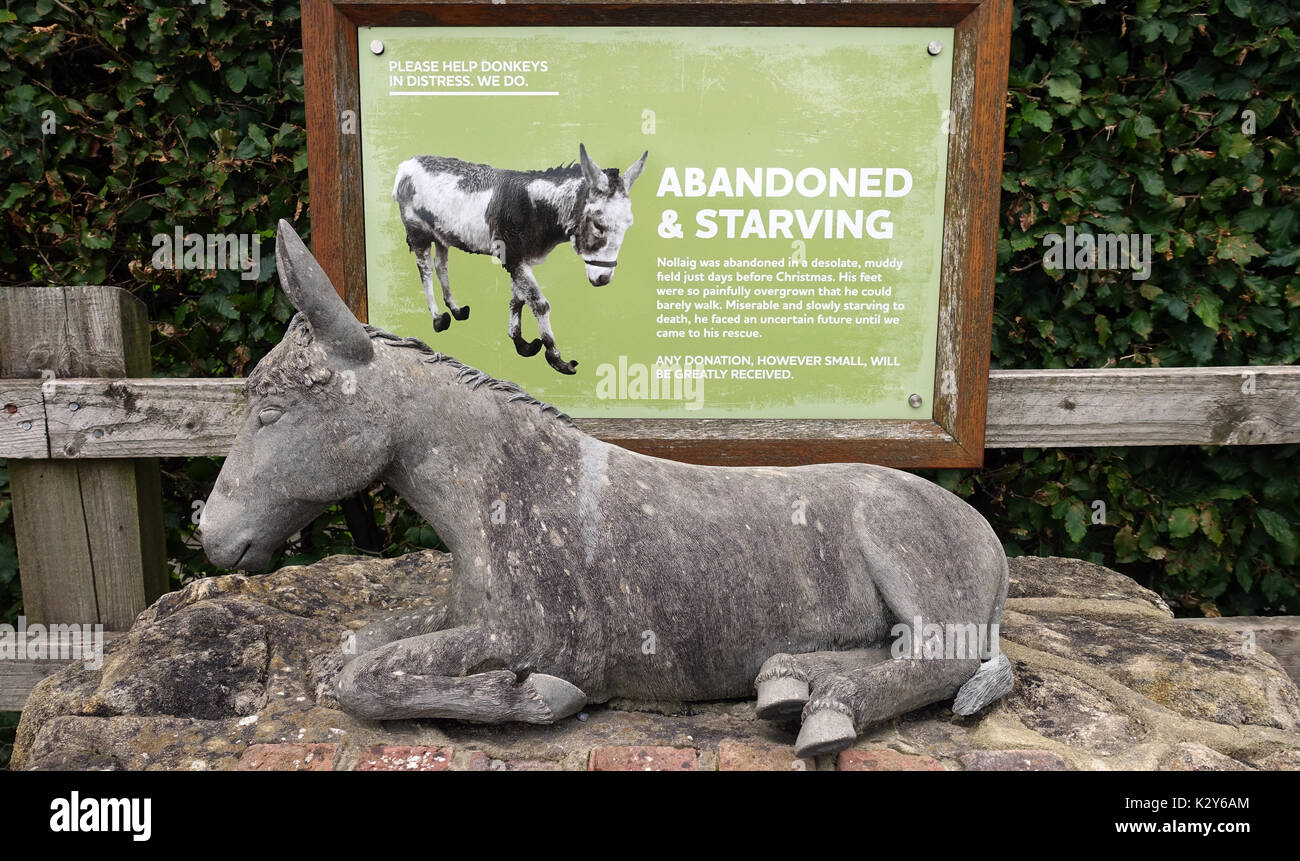 The Sidmouth Donkey Sanctuary, Devon, UK Stock Photo Alamy